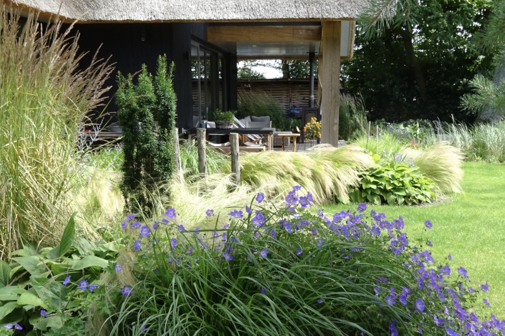 Nieuwbouwtuin of tuin make over?