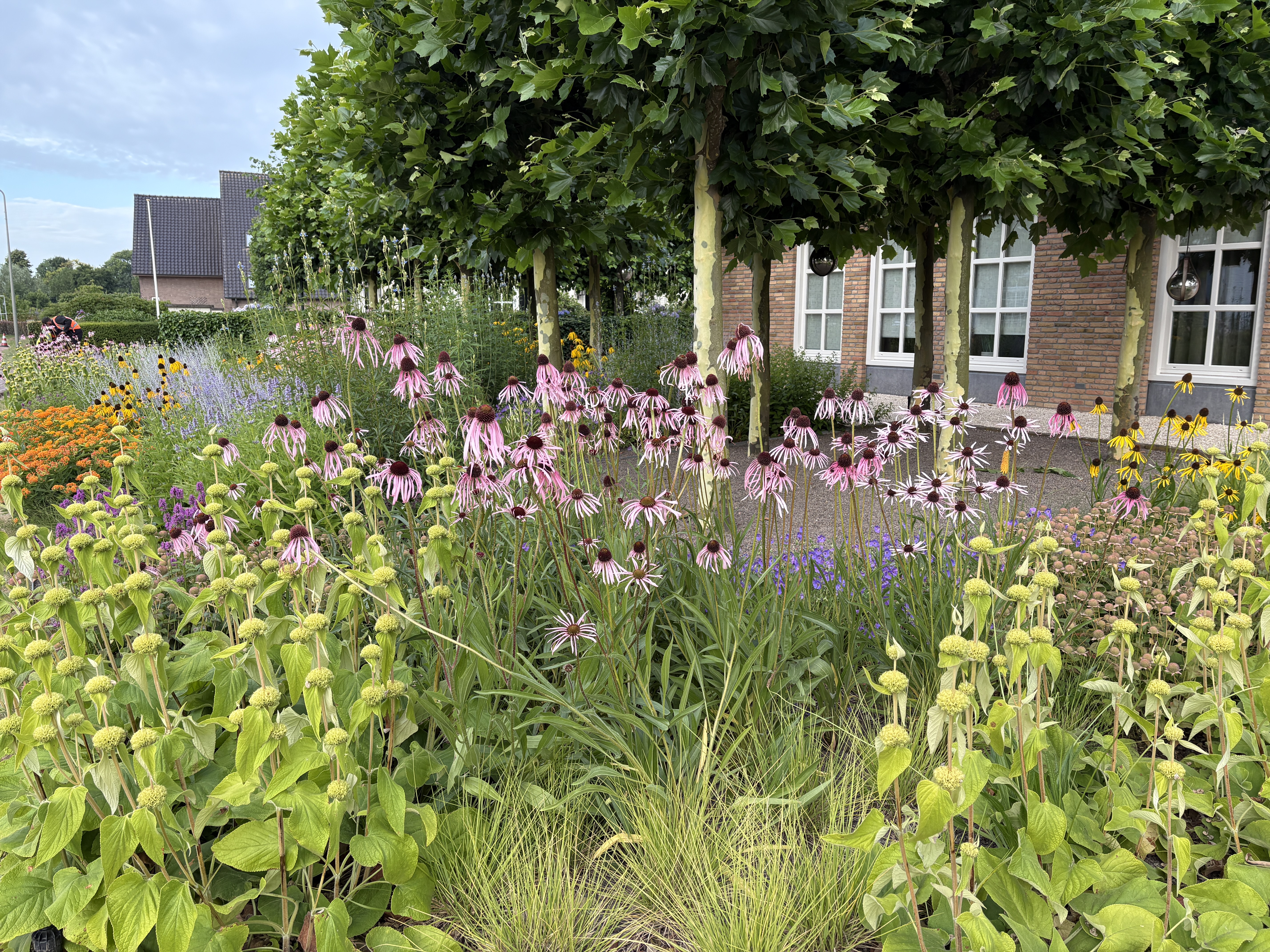 Abonneren blog en nieuwsbrief Tuinkrabbels (schrijf me in!)