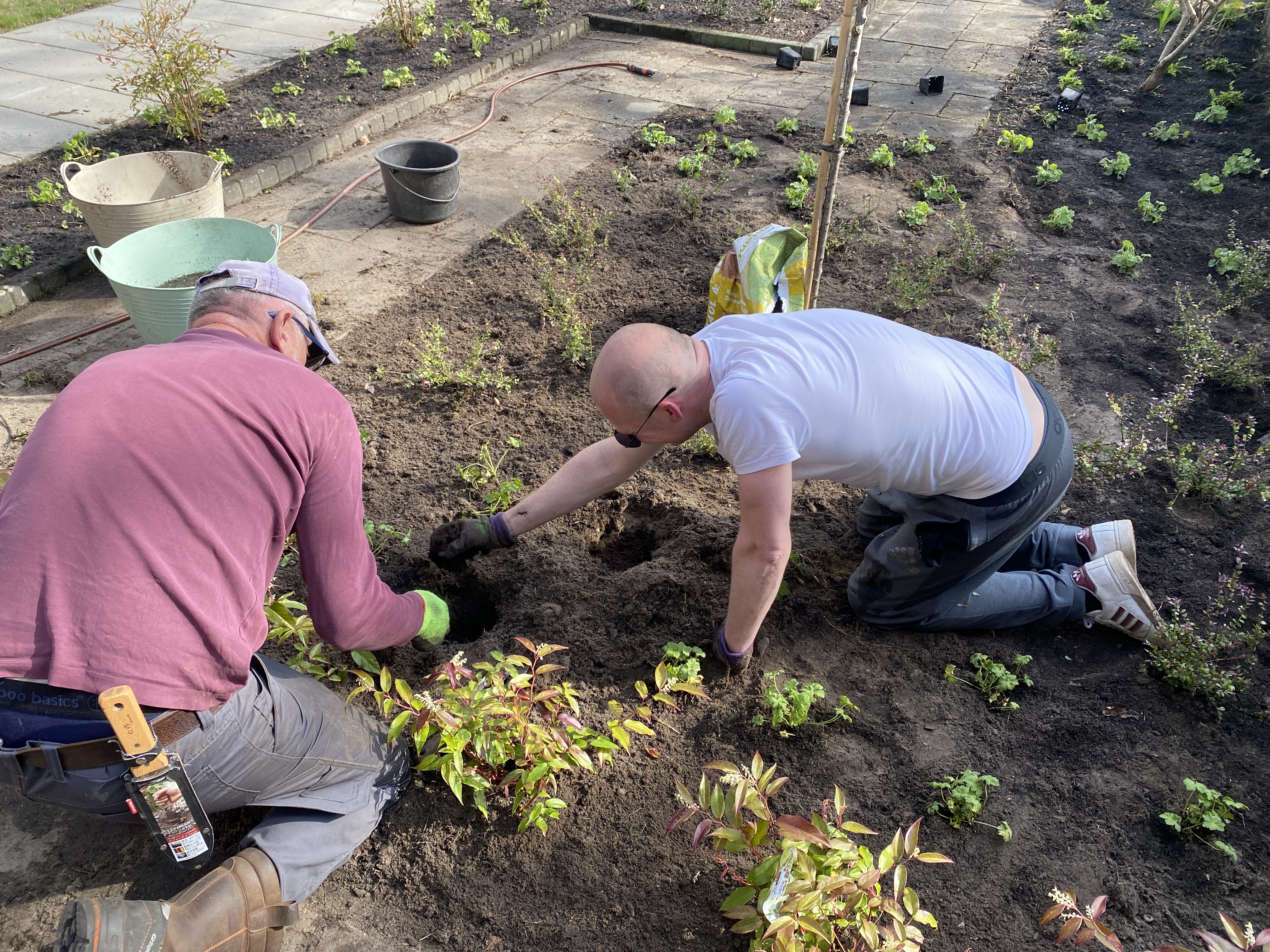 “Voor wie is ‘Expeditie Droomtuin: jouw online route naar tuinsucces’?